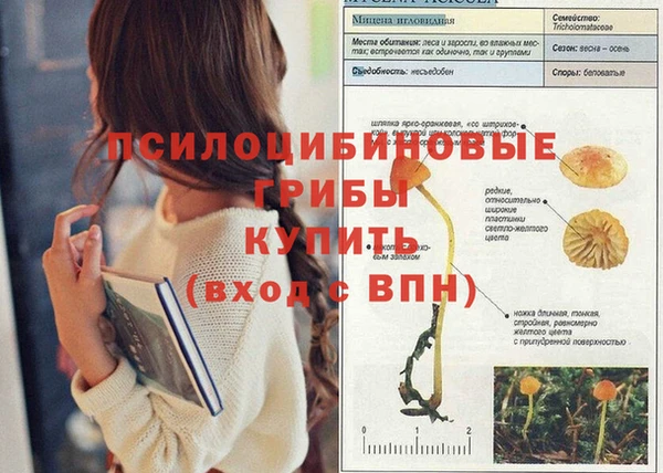 бутират Богданович